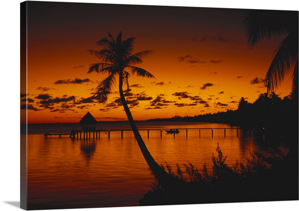 French Polynesia, Rangiroa, Bungalows At Sunset, Silhouetted Palm Tree