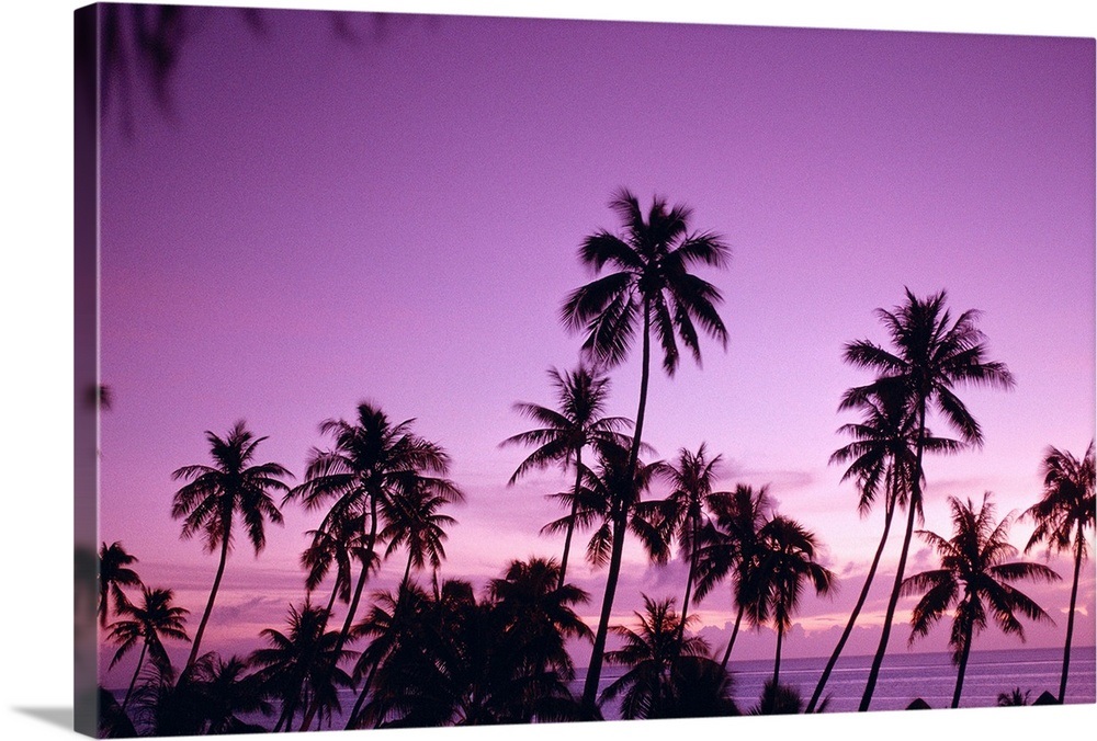 French Polynesia, Tahiti, Island Sunset Over Ocean, Palm Trees ...