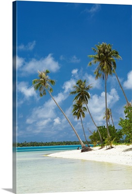 French Polynesia, Tahiti, Maupiti, Lagoon Beach With Palm Trees And Blue Sky