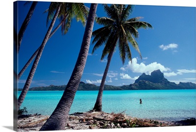 French Polynesia, Tahitian Coast Scene, Lovely Woman In Water