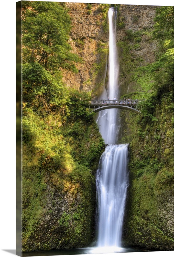 Full Height Of Multnomah Falls, Oregon
