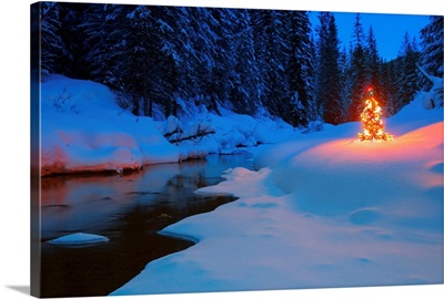 Glowing Christmas Tree By Mountain Stream