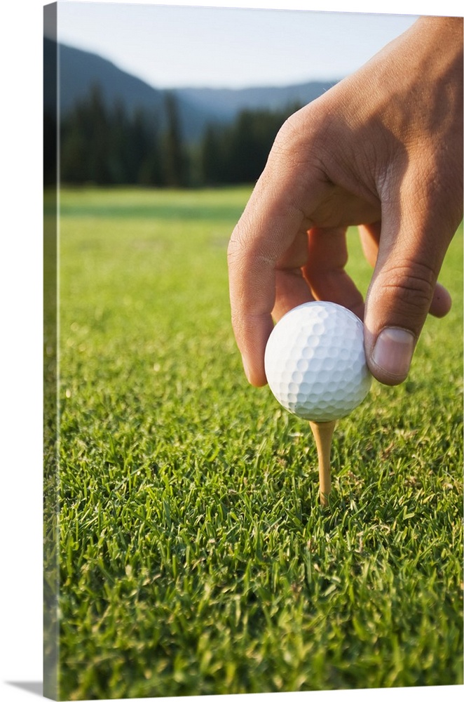 Golfer sets up a ball on the tee of a golf course on a summer evening; Whistler, British Columbia, Canada