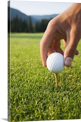 Golfer sets up a ball on the tee of a golf course on a summer evening