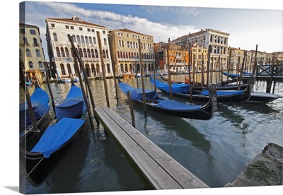 Gondolas Moored On The Grand Canal; Venice, Italy