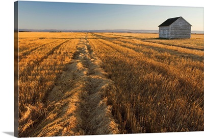 Grainery, Near Regina, Saskatchewan, Canada
