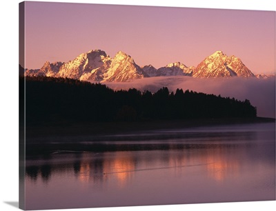 Grand Teton Mountains With Silhouetted Aspen Trees At Sunrise, WY, USA