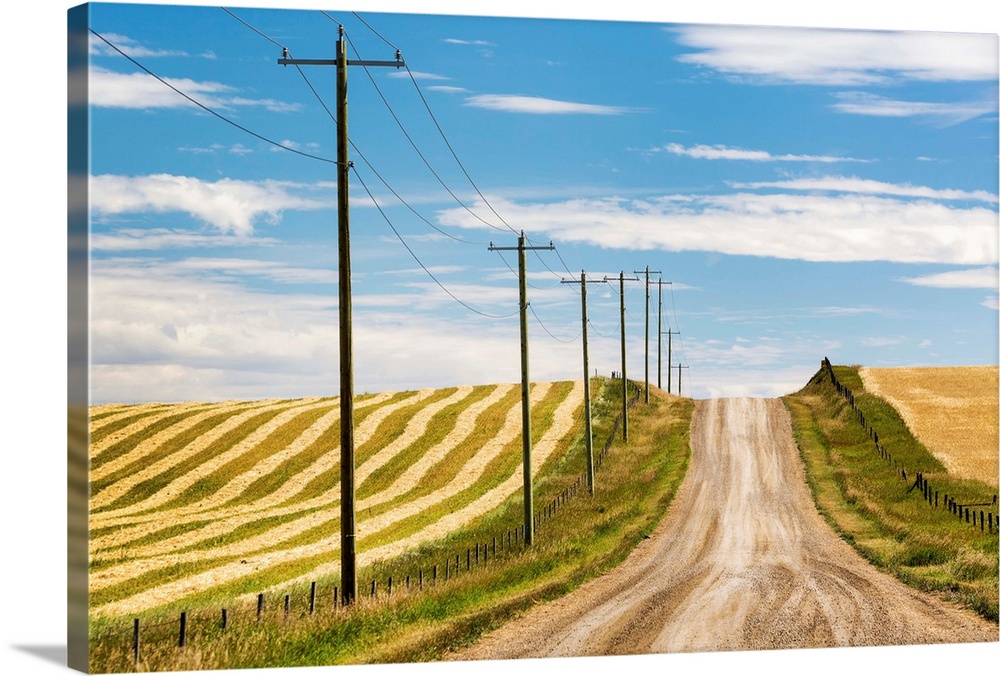 Gravel road climbing a hill with wooden electrical poles and a brown cut field on one side and a golden grain field on the...