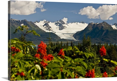 Grewingk Glacier And The Kenai Mountains, Kachemak Bay State Park, Alaska