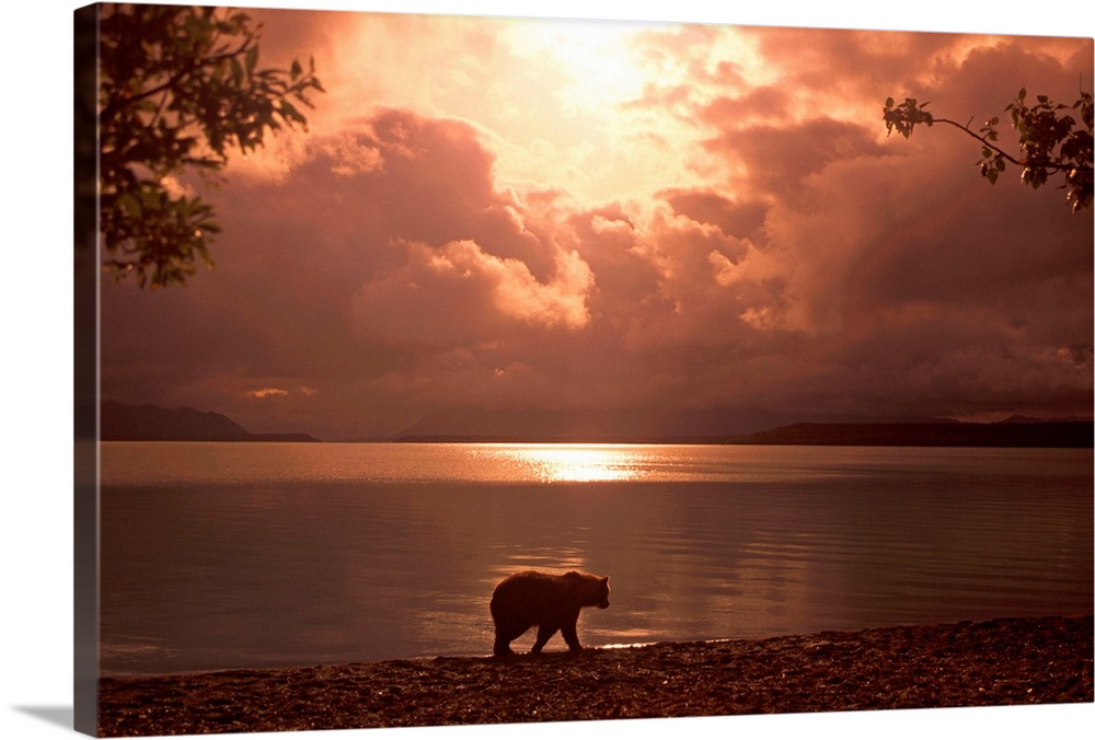 Big photo on canvas of a bear walking along a water front.