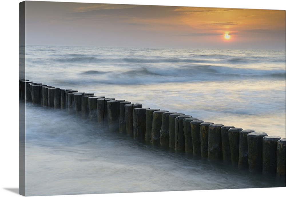 Groyne at Sunrise, Zingst, Darss, Fischland-Darss, Baltic sea, Mecklenburg-Western Pomerania, Germany, Europe