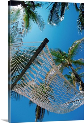 Hammock And Palm Tree, Great Barrier Reef, Northern Caye, Belize