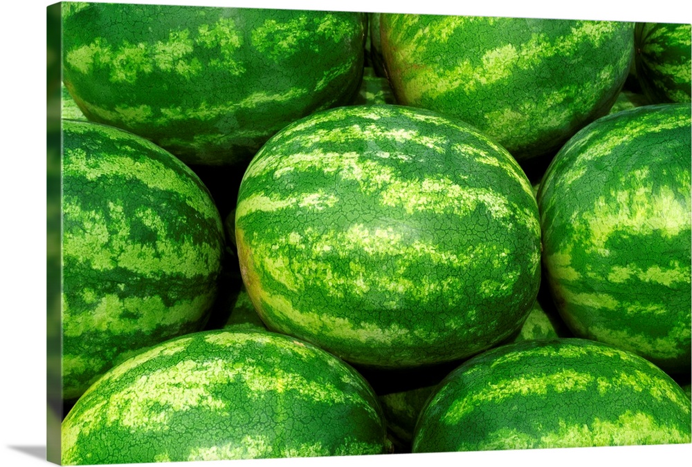 Harvested mature seedless watermelons ready for shipping, Missouri