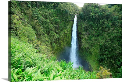 Hawaii, Big Island, Akaka Falls State Park, View Of Misty Falls