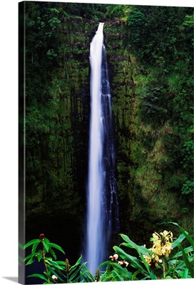 Hawaii, Big Island, Akaka Falls, Tropical Flowers Blooming In Foreground