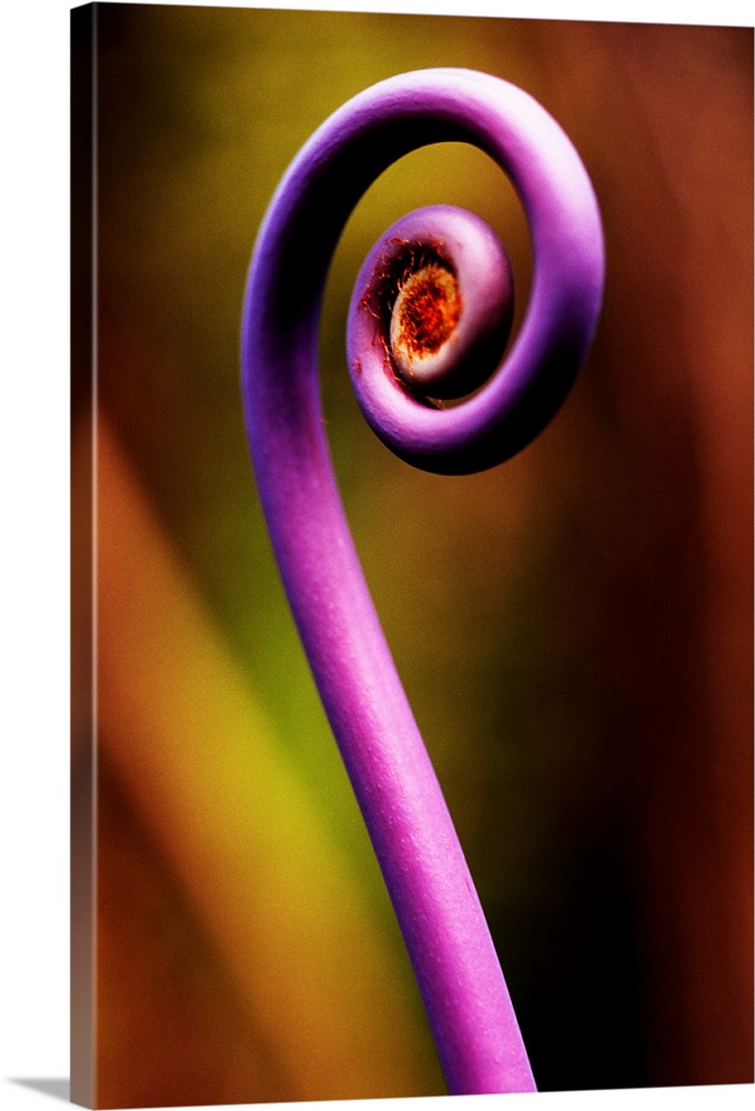 A purple stem is photographed very closely with the background pictured out of focus.