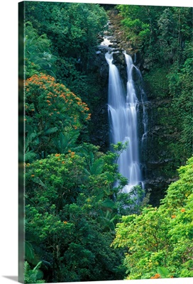 Hawaii, Big Island, Hamakua Coast, Waterfall Surrounded By Greenery