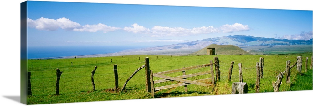 Hawaii, Big Island, Kamuela, Country Landscape, Mauna Kea In Background
