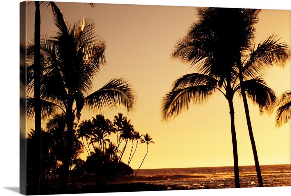 Hawaii, Big Island, Mauna Lani Resort, Ocean And Silhouetted Palm Trees At Sunset