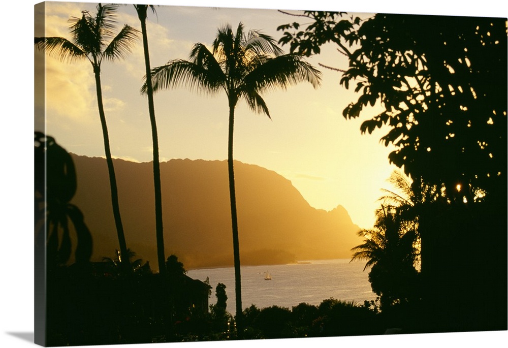Hawaii, Kauai, Hanalei Bay, Bali Hai, Yellow Sunset Through Palm Trees