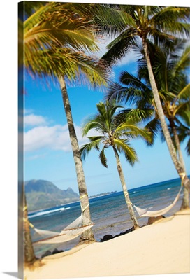 Hawaii, Kauai, Hanalei Bay Princeville, Two Hammocks Hang Between Palm Trees
