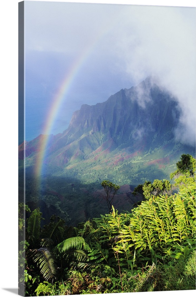 Hawaii, Kauai, Na Pali Coast, Kokee State Park, Kalalau Valley viewpoint with rainbow