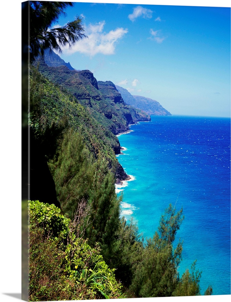 Hawaii, Kauai, Napali Coast Trail, Lush Greenery