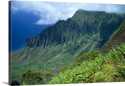 Hawaii, Kauai, North Shore, Kalalau Valley, Kokee State Park