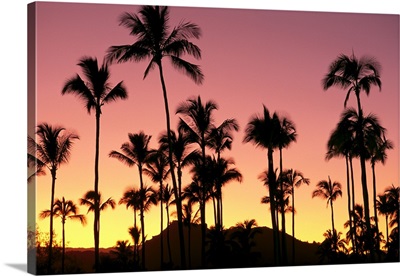 Hawaii, Kauai, Sleeping Giant And Coconut Grove At Sunset