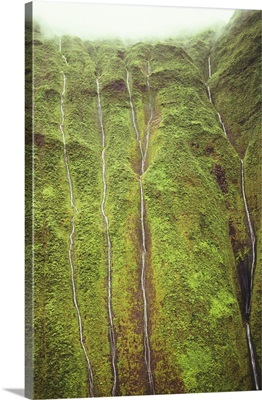 Hawaii, Kauai, Wai'ale'ale Volcano Crater, Wettest Spot On The Island