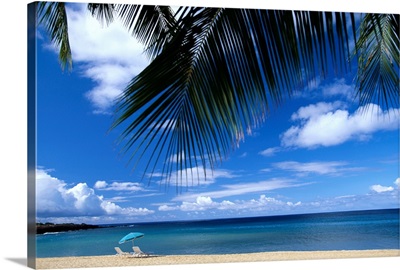 Hawaii, Lanai, Hulopoe Beach, Palm Fronds In Foreground
