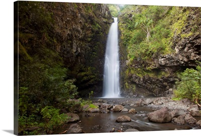 Hawaii, Maui, Alalele Falls on the Road to Hana