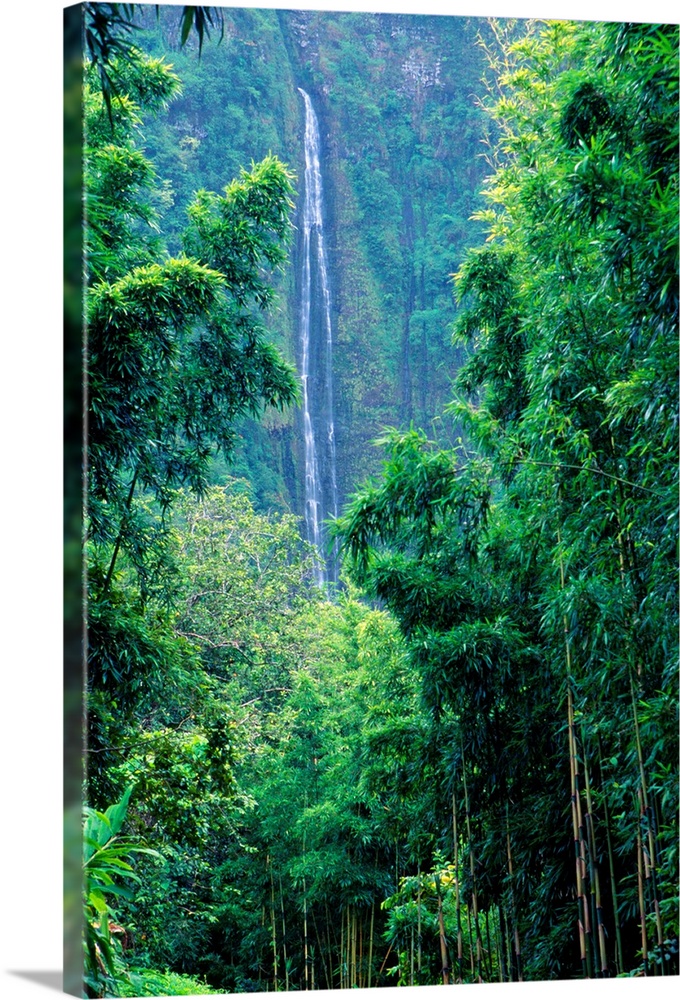 Hawaii, Maui, Hana, Oheo Gorge, Waimoku Falls, And Bamboo Forest