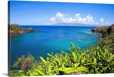 Hawaii, Maui, Honolua Bay, Green Brush Overlooking Bright Blue Water