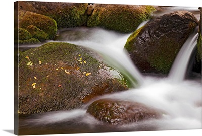 Hawaii, Maui, Iao River Valley, Water In Motion Over Rocks