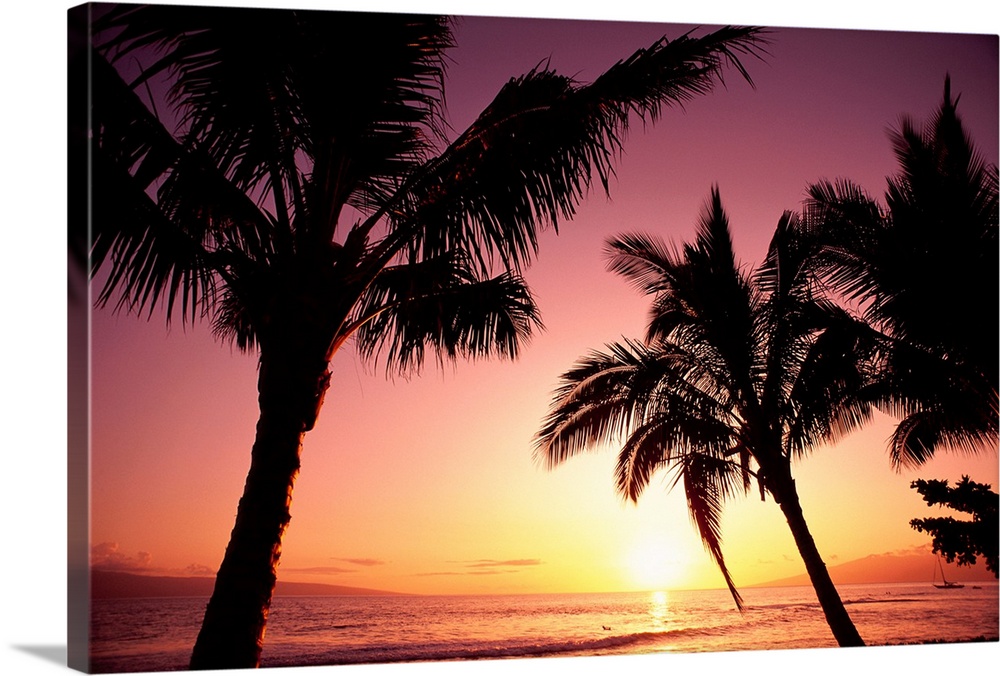 Hawaii, Maui, Ka'anapali, Sunset With Palms And Golden Reflections On Ocean