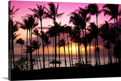 Hawaii, Maui, Kapalua Bay, Tropical Sunset, Palms Silhouette