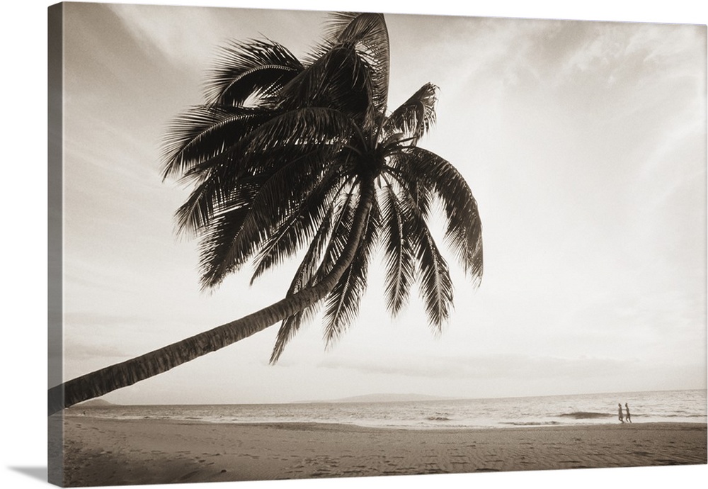 Hawaii, Maui, Kihei, Palm tree over beach, Couple along shoreline in distance