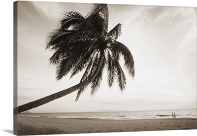 Hawaii, Maui, Kihei, Palm tree over beach, Couple along shoreline in distance