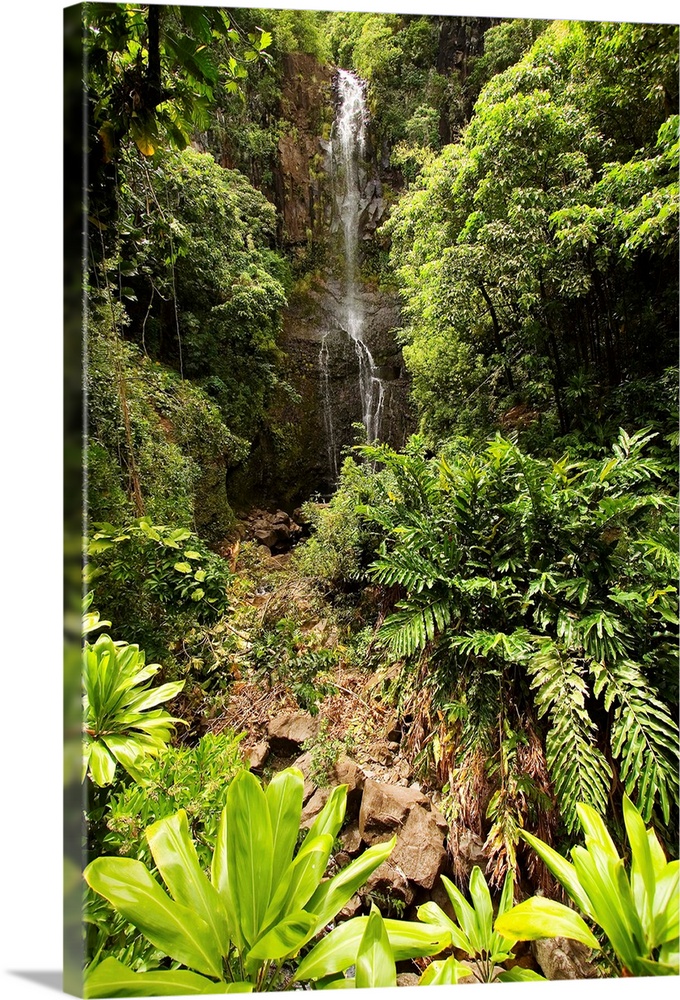 Hawaii, Maui, Kipahulu, Hana Coast, Wailua Falls Surrounded By Foliage