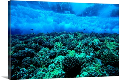 Hawaii, Maui, Molokini Island, Underwater View Of Wave Breaking Over Shallow Reef