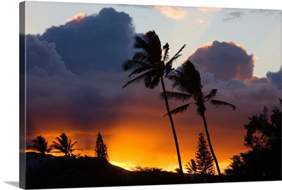 Hawaii, Maui, North Shore, Palm Trees On A Hill, Puffy Clouds And Colorful Sunset