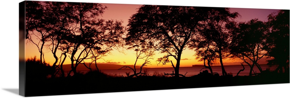 Hawaii, Maui, Trees Silhouetted On West Maui Shoreline, Molokini Island In Distance