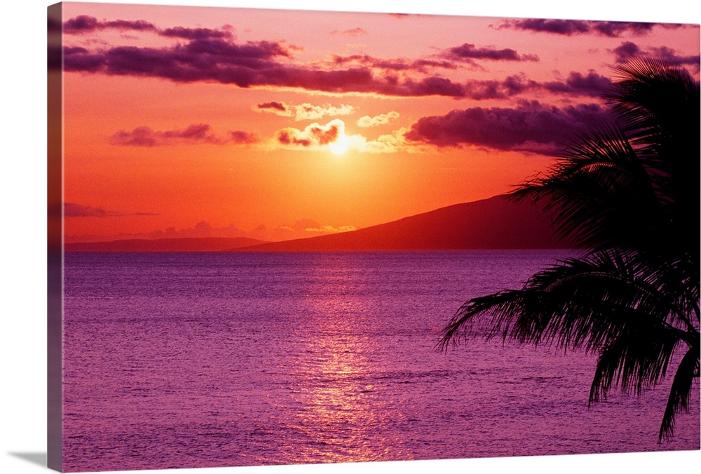 Big canvas photo of a peaceful beach sunset with a silhouette of a palm tree in the foreground to the right.