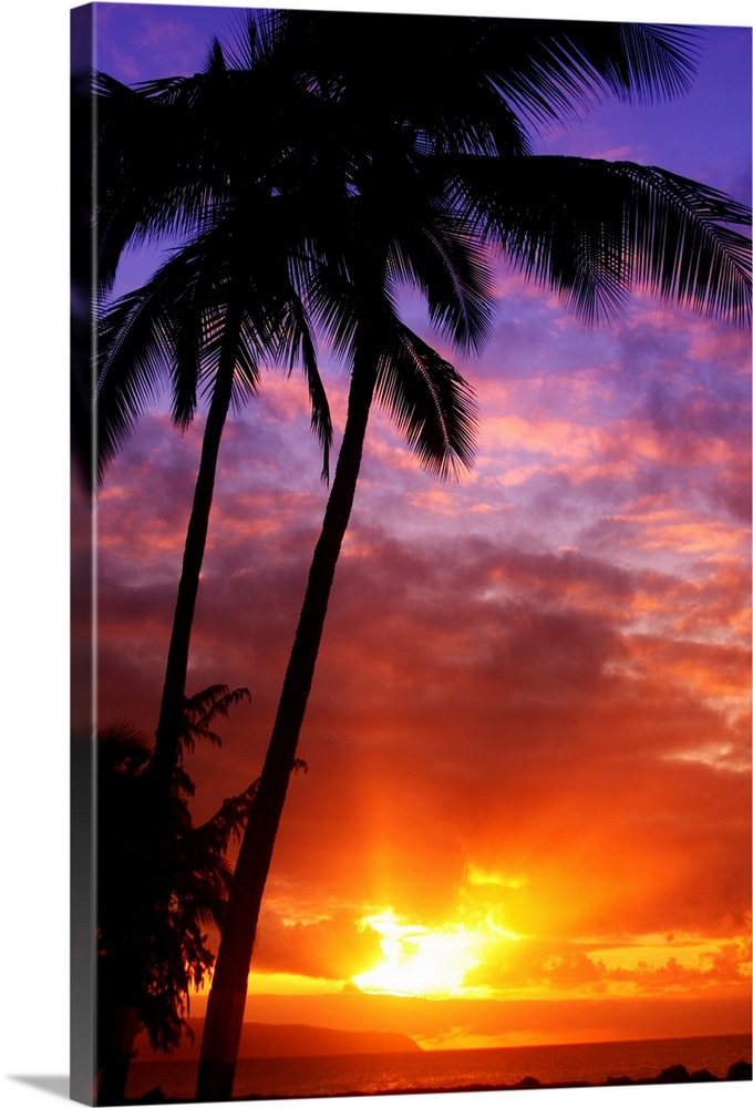 Tall wall docor of silhouetted palm trees against a colorful sunset.