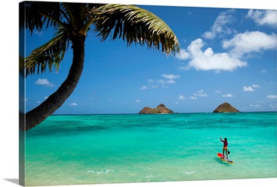 Hawaii, Oahu, Lanikai Beach, Female Stand Up Paddler On Her Way To The Mokulua Islands