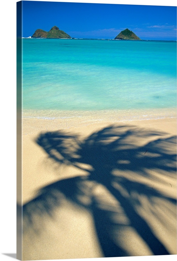 Hawaii, Oahu, Lanikai Beach, Shadow Of Palm Tree Near Mokulua Islands