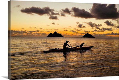 Hawaii, Oahu, Lanikai, Man And Dog On A One-Man Outrigger Canoe