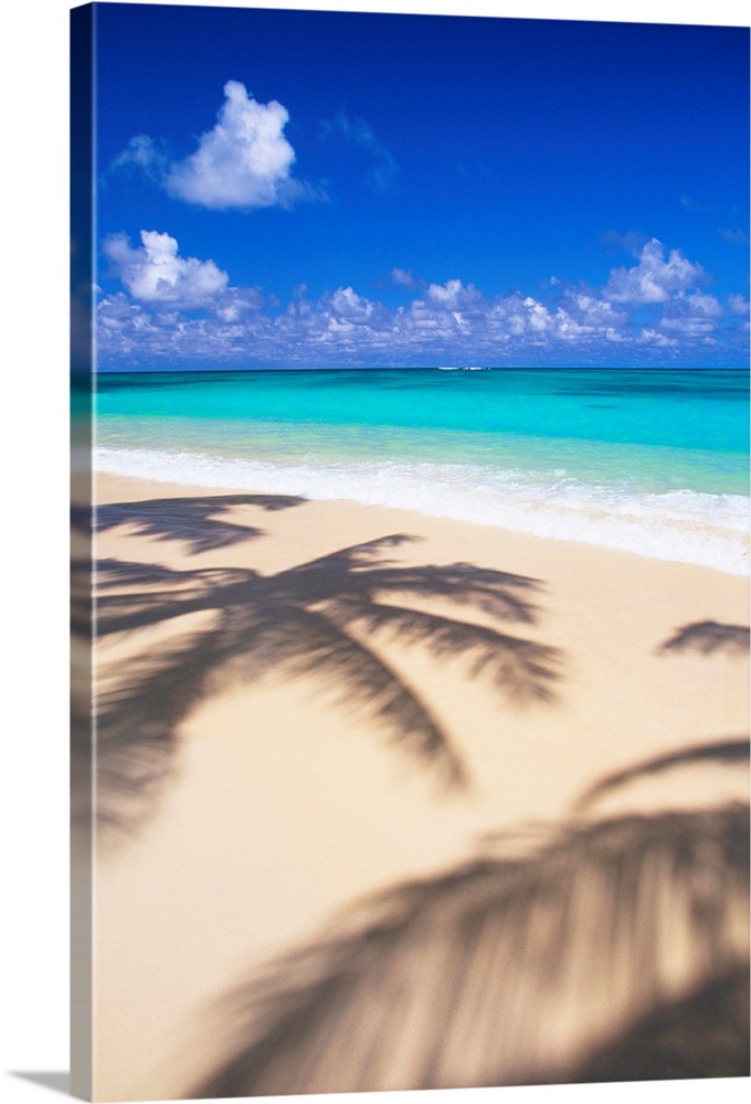 Hawaii, Oahu, Lanikai, Tropical Beach Scene With Palm Shadow On Sand