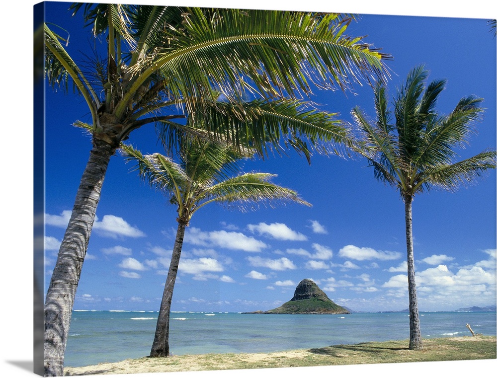 Hawaii, Oahu, Mokoli'i Island And Palm Trees